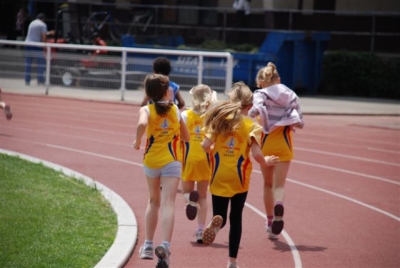 2 04-w8dgu0ktxcril9z3noj1