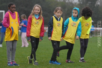 adefhlmnpqstwy1 Cross92-5636