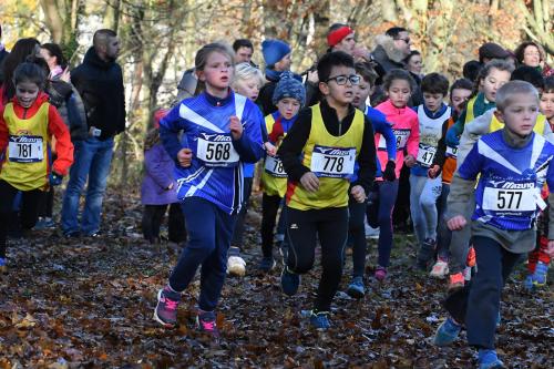 2017-11-26 Cross de Chaville