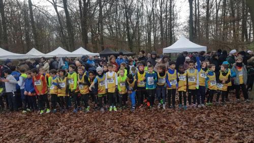 c03d55e4-e70e-4625-b90e-27c8b88f02bf