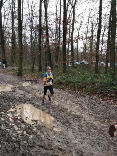 c6e1ff51-94e1-4d04-afd1-6c0cfc8be8cc