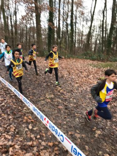 d6f8e8f9-9375-4c00-a6fd-8c06f2c3d61c