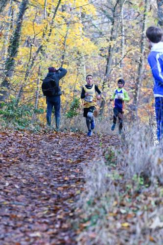 2019-11-24 Cross de Chaville