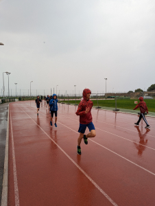 PXL 20230430 144101188.MP 